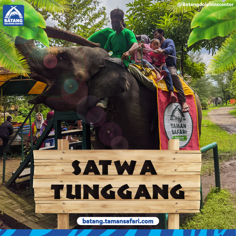 Safari Beach Batang Partnership by Jepara Ourland Park 3
