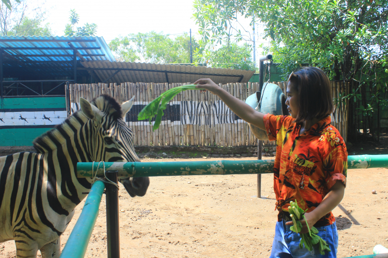 Safari Beach Batang Partnership by Jepara Ourland Park 4